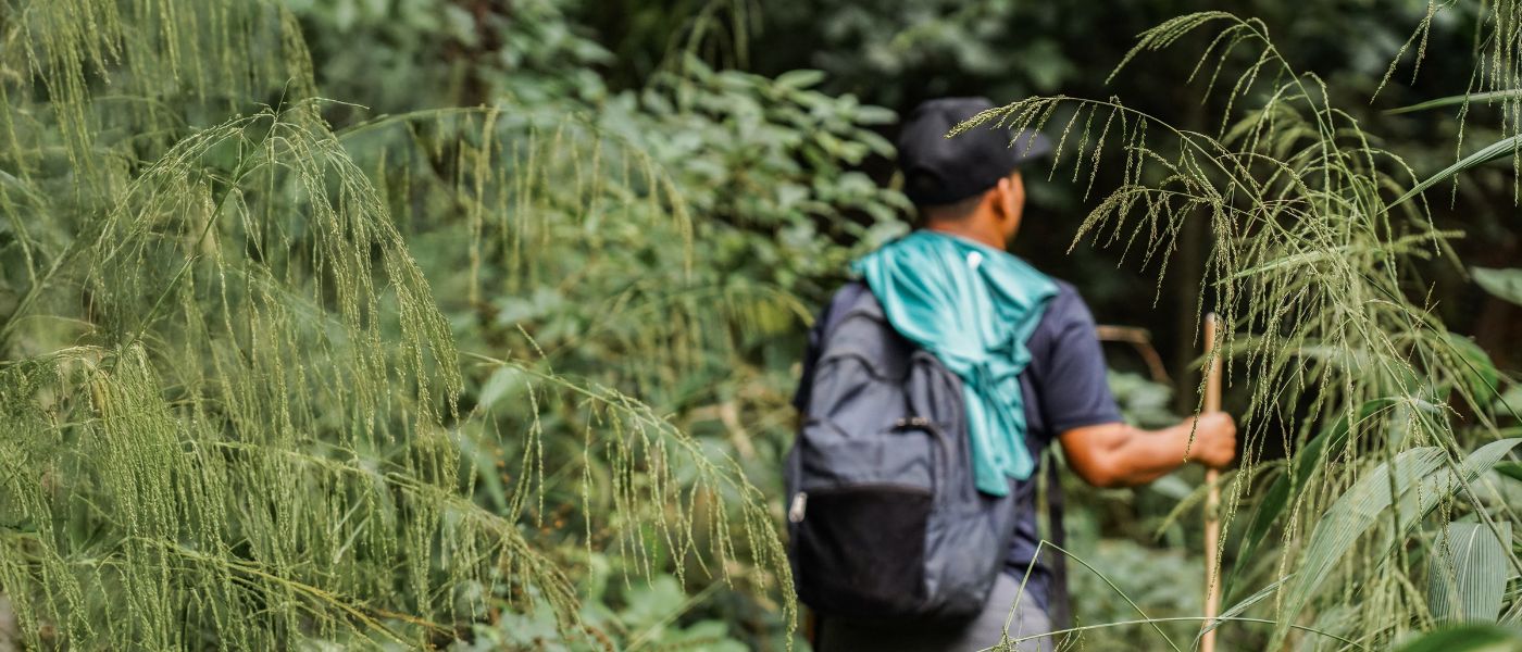 Ningún lugar seguro